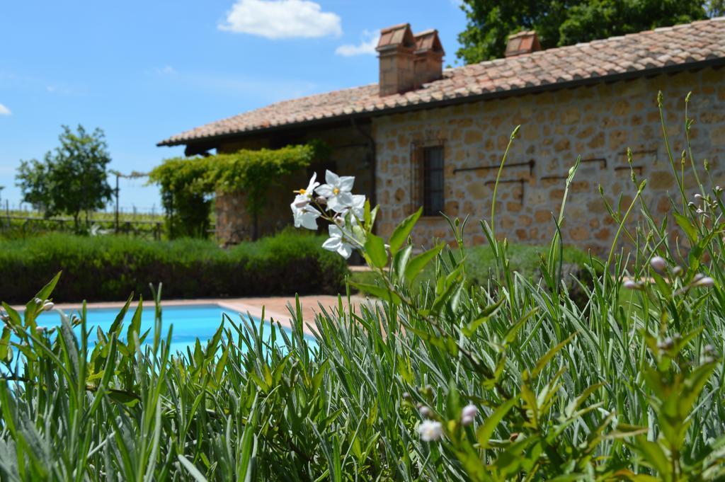 Agriturismo Eco-Bio Villa Vacasio Pitigliano Exteriér fotografie