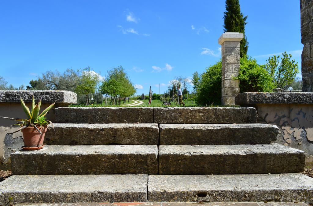 Agriturismo Eco-Bio Villa Vacasio Pitigliano Exteriér fotografie
