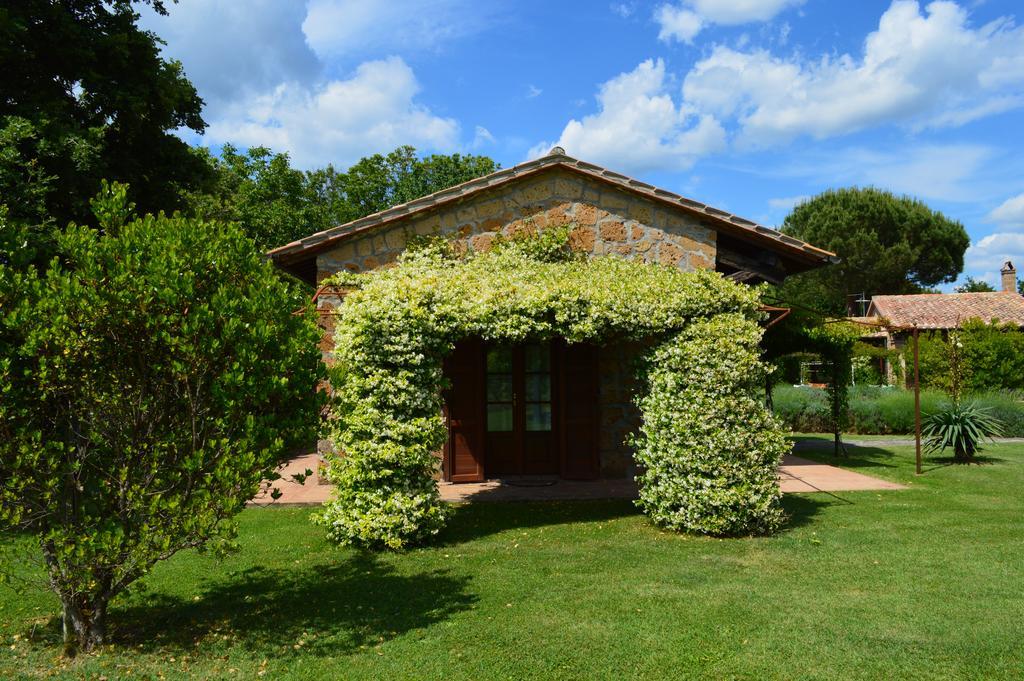 Agriturismo Eco-Bio Villa Vacasio Pitigliano Exteriér fotografie