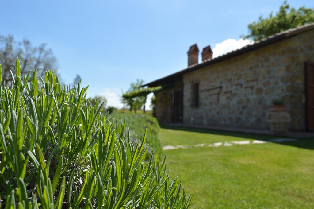 Agriturismo Eco-Bio Villa Vacasio Pitigliano Exteriér fotografie